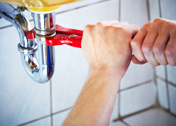 About Elm City Plumbers